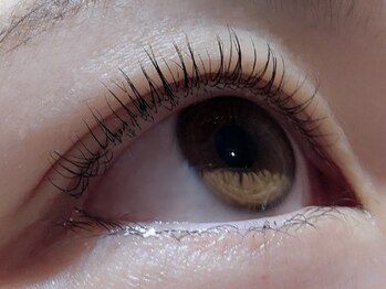 カラン 焼津店(CALIN)/ラスティングカール