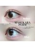 ◇新規◇韓国発！マスカラパーマ ¥7,000→¥5,400