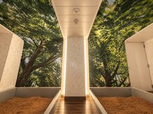 グランボヌール 心斎橋(Gran Bonheur)の雰囲気（都会を忘れる癒し空間♪酵素浴で身体の芯から温活◎）