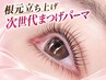 【ネット予約限定、指名不可】◆パリジェンヌorラッシュリフトカール◆4300円