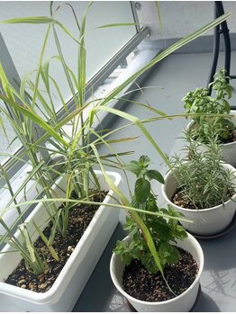 チャアム(cha am)/店のバルコニー