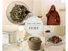 フェミー(FEMY)