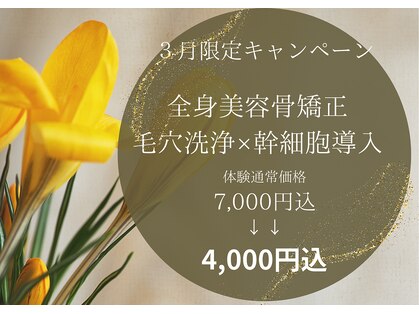 ポノ(Pono)の写真