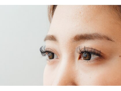 ベリーナ(Bellina)の写真