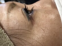 ピクシーボブ(Pixie Bob)/ぱっちりまつ毛☆