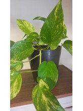 ととろはりきゅう院/季節の店内の様子