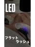 【人気No.1】束感LEDフラットラッシュ付け放題1時間￥5500