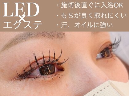 スリーライオン(threeLion)の写真
