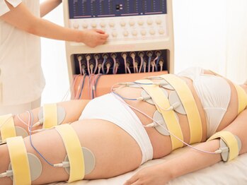 やせる専門店 ミスパリ ダイエットセンター 京橋京阪モール店/【2.内臓脂肪燃焼をサポート】