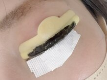 ビー アイラッシュ(BEE eyelash)/【韓国マスカラパーマ】