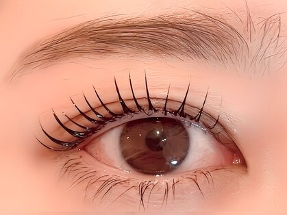 トップ(TOP)の写真