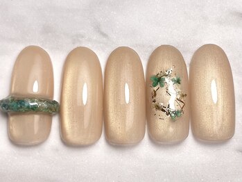 ビボ(.VIVO)/季節の定額 R8.03