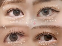 サクラブロウ 心斎橋店(Sakura-blow)