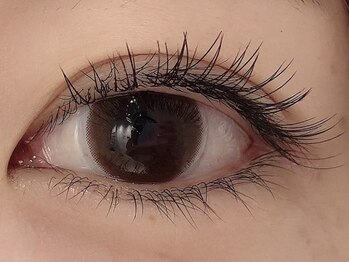 カラン 焼津店(CALIN)/フラットラッシュ100本