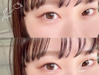 ローブ(L'aube)/まつげパーマ/学割U24[池袋]