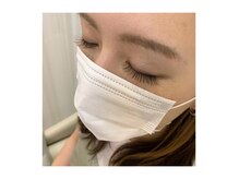 コノハ(KONOHA)/ダークブラウン120本