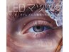 【新】次世代！LEDまつ毛エクステ！！フラットラッシュ80本　8000円→6500円