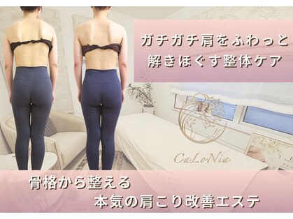 カロニア(CaLoNia)の写真
