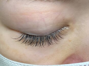 MiMi Eyelash and Spa　北谷店の写真/季節やイベントにぴったりなカラーエクステが勢揃い♪原色から落ち着いた色合いまで10色以上から選べます◎