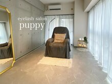 パピー(puppy)