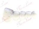 【全員】フット定額アート￥8500