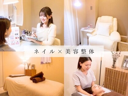 モフィ(mofie)の写真