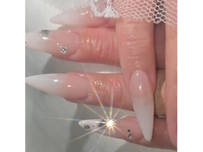 メープルドット(Maple.)の写真