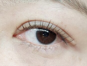 ダズル(DAZZLE)/LEDブラウンフラットラッシュ