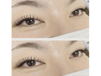 ベル(Belle)/◆フラットラッシュ200本