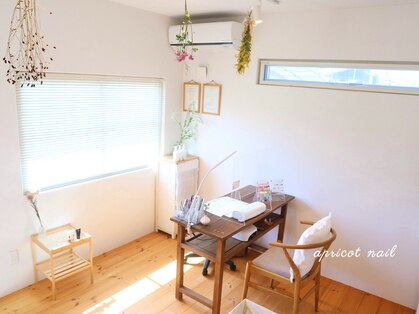 アプリコットネイル (apricot nail)の写真