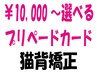 【プリペイドカードをお持ちの方】美容整体/猫背矯正￥6.600→¥4400