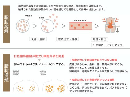 ツキ(TUKI+)の写真
