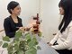 ヨサパーク ソレイユ 藤崎店(YOSA PARK)の写真