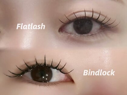 ムーン ラッシュ(Moon Lash)の写真