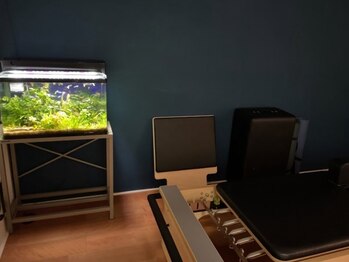シュリット(Schritt.)の写真/完全個室プライベート空間♪糸島を感じる水槽がある癒しの雰囲気の中、ピラティスで心と体をリフレッシュ☆
