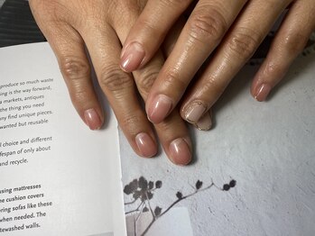 フィグ ツリー(fig tree)/