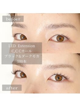 レイズ 元住吉(Raise)/☆高持続LEDエクステ100本☆