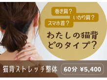 チラックスルーム アンドユー(chillax room &U)の雰囲気（巻き肩やスマホ首など気になる姿勢バランスにはストレッチ整体◎）