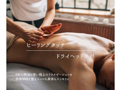 セルビー リアイズ(SELBE ReEyes)の写真