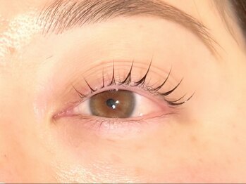 リプラス 仙川(Re+)/ラッシュリフト(まつ毛パーマ)