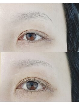 アピアチェーレ 南浦和(a.piacere)/マイラミネーション上下