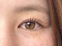 メアリ 柏(MEARI)/【デザイン】