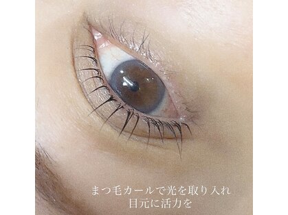 アンカー(ANCHOR)の写真