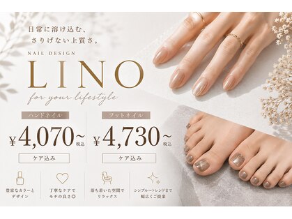 リノ(Lino)の写真