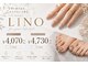 リノ(Lino)の写真