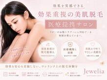 ジュエリア(Jewelia)の雰囲気（効果にこだわった美肌脱毛導入いたしました♪医療提携/都度払い）