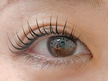 セレンディピティ(Serendipity)/まつ毛パーマ