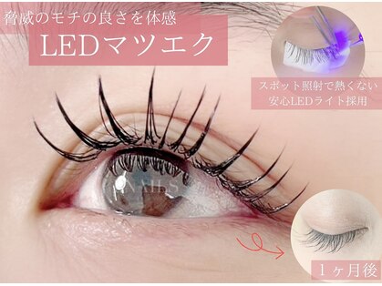 アイネイルズ 河内花園店(I.NAILS)の写真