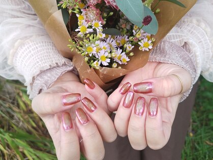 コトン(coton)の写真