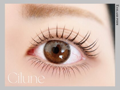 シルネ 三軒茶屋(Cilune)の写真